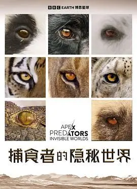 《捕食者的隐秘世界》：揭秘自然界的黑暗森林，看完我只想说“好险！”