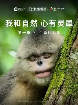 《我和自然 心有灵犀》第一季：生命的力量太震撼！这‘综艺资讯’看得我热泪盈眶！