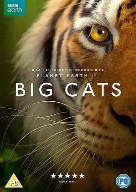《大猫》：被低估的神作！剧情反转到怀疑人生，小心被虐哭！