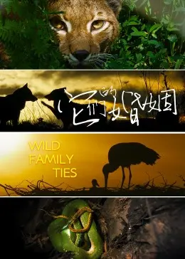 《它们的婚姻》：年度最‘脱口秀小会第三季’式婚姻吐槽！句句扎心，你敢信？