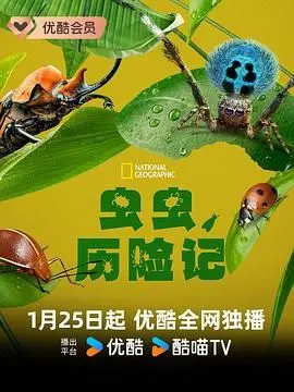 《虫虫历险记》：童年回忆杀！那些年我们一起追的动画，如今变成了全网热议的《综艺资讯》！